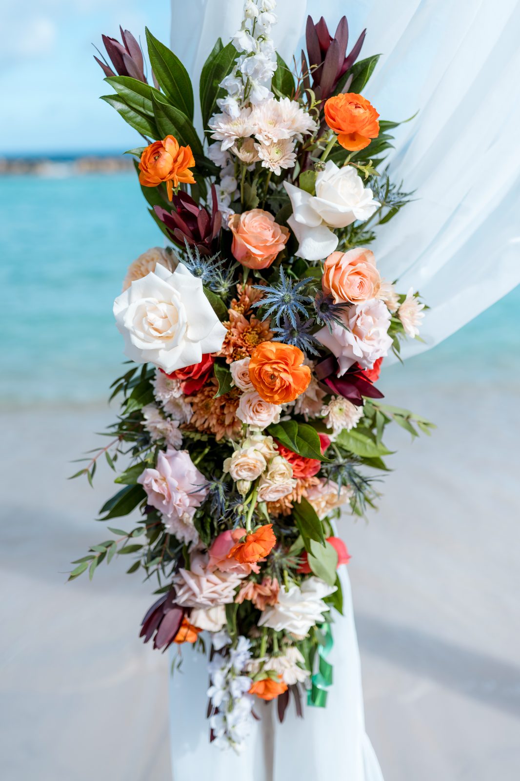 Anika and Sarne are standing under a floral arch at the Avila Beach Hotel, with the beach and ocean visible in the background