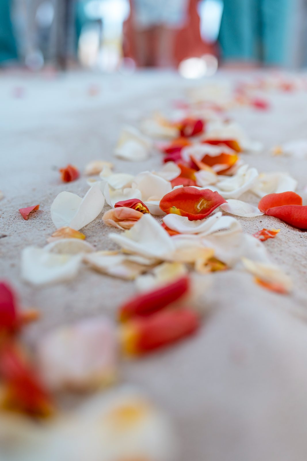 The wedding at Avila Beach Hotel features a sandy aisle scattered with red and white rose petals