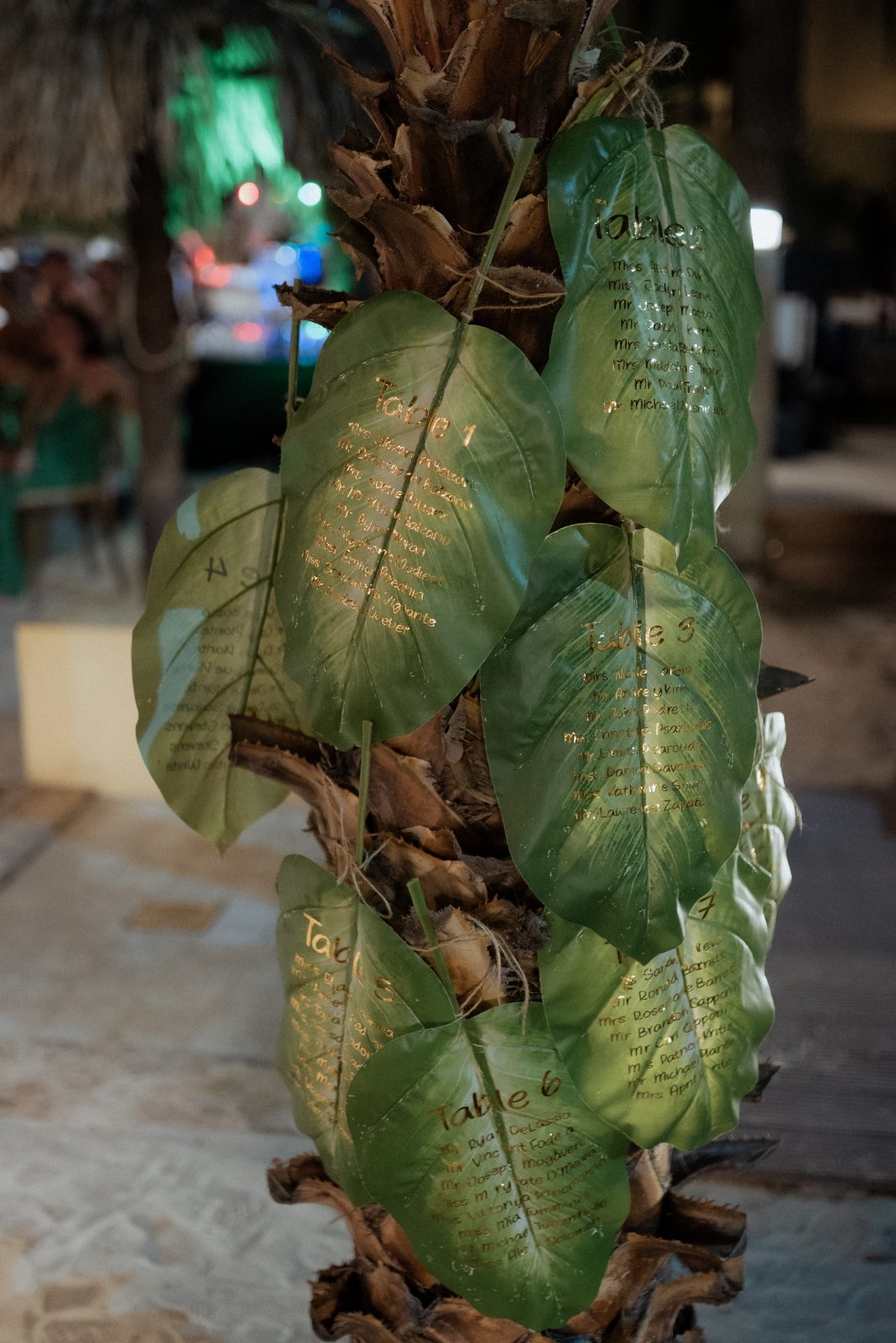 Erica and Derek's wedding seating chart is displayed on large green leaves, placed on a palm tree at Avila Beach Hotel in Curaçao