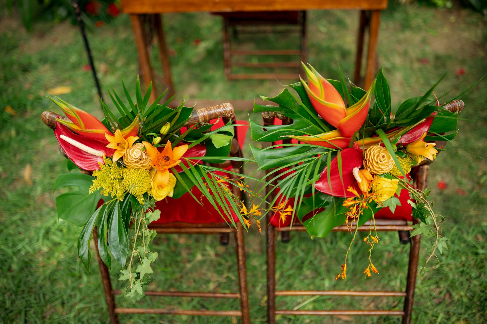 The wedding ceremony setup in a private garden in Curaçao features decorated chairs adorned with tropical flowers, ready for Ghislaine and Kevin's nuptials