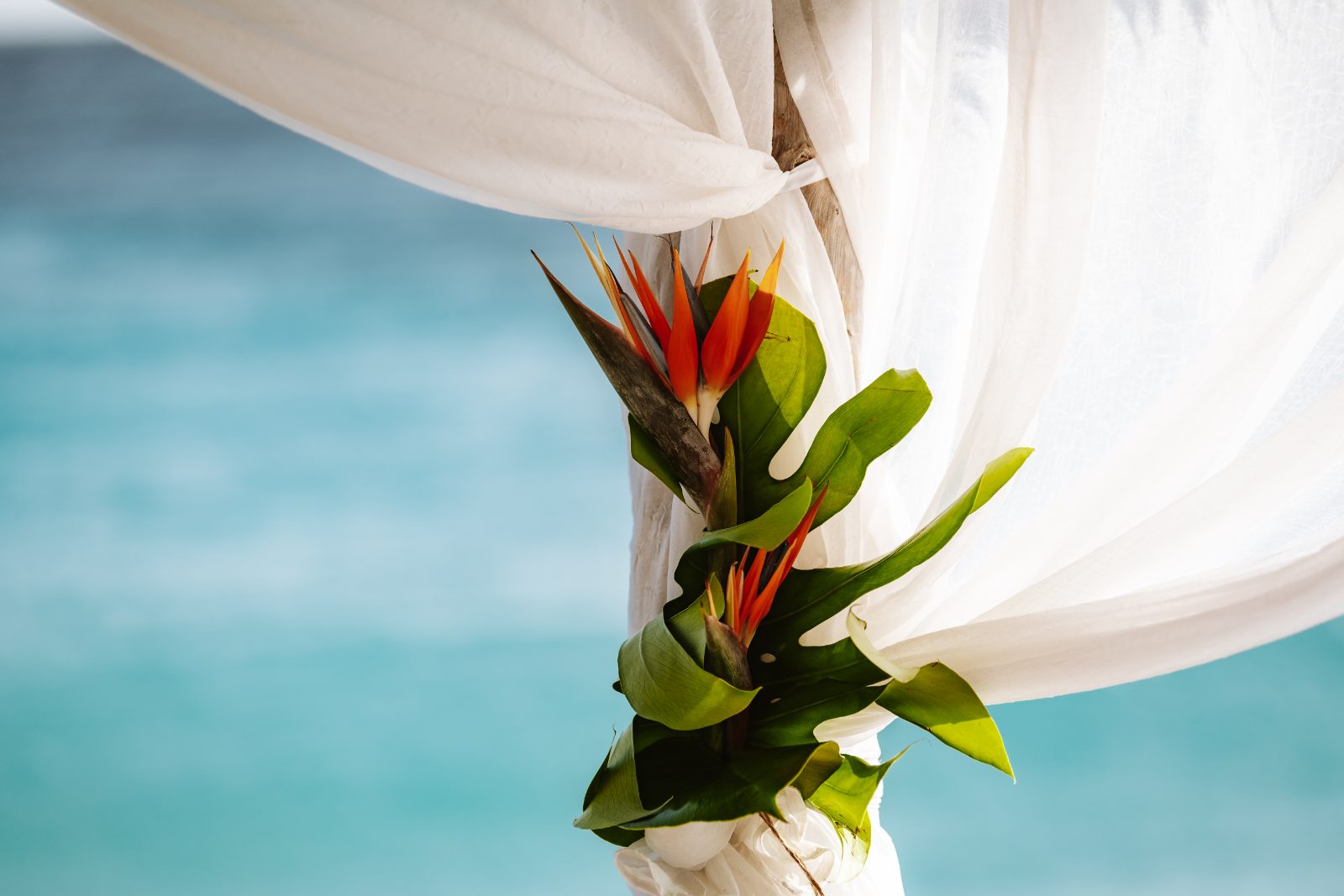 Kinga and Sven stand under a white fabric draping at their wedding ceremony held at Karakter in Curaçao, with tropical flowers nearby