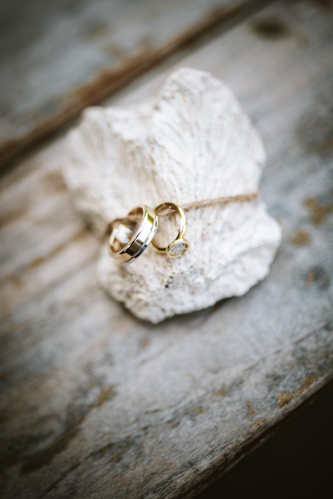 Sharon and Robin's wedding rings rest on a seashell on a wooden surface at MOOD Beach in Curaçao